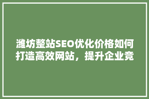 潍坊整站SEO优化价格如何打造高效网站，提升企业竞争力