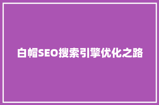 白帽SEO搜索引擎优化之路