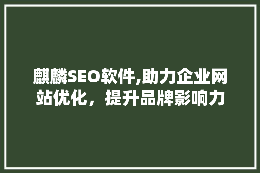 麒麟SEO软件,助力企业网站优化，提升品牌影响力