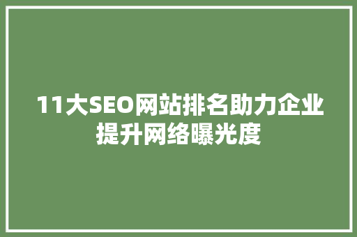 11大SEO网站排名助力企业提升网络曝光度 服务器/数据库