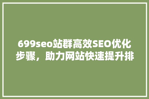 699seo站群高效SEO优化步骤，助力网站快速提升排名