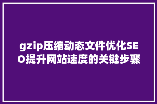 gzip压缩动态文件优化SEO提升网站速度的关键步骤