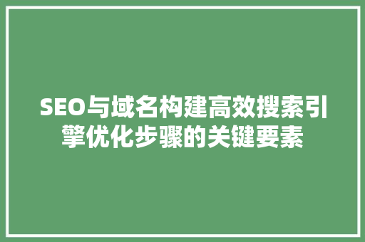 SEO与域名构建高效搜索引擎优化步骤的关键要素 Web前端