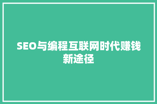 SEO与编程互联网时代赚钱新途径