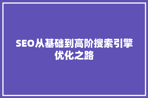 SEO从基础到高阶搜索引擎优化之路