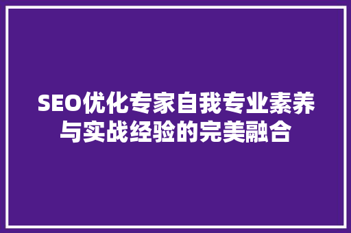 SEO优化专家自我专业素养与实战经验的完美融合