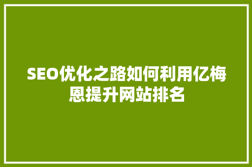 SEO优化之路如何利用亿梅恩提升网站排名