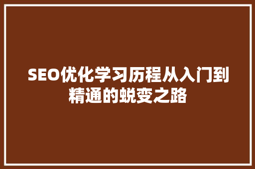 SEO优化学习历程从入门到精通的蜕变之路