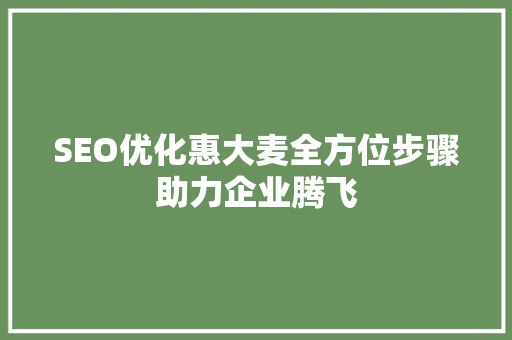 SEO优化惠大麦全方位步骤助力企业腾飞