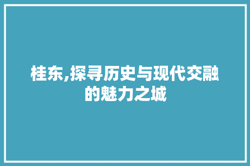 桂东,探寻历史与现代交融的魅力之城