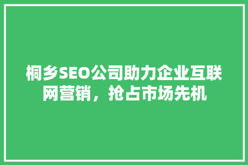 桐乡SEO公司助力企业互联网营销，抢占市场先机