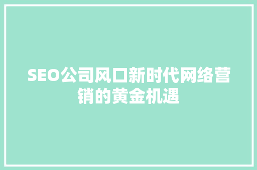 SEO公司风口新时代网络营销的黄金机遇