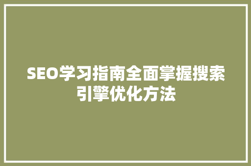 SEO学习指南全面掌握搜索引擎优化方法 WordPress教程