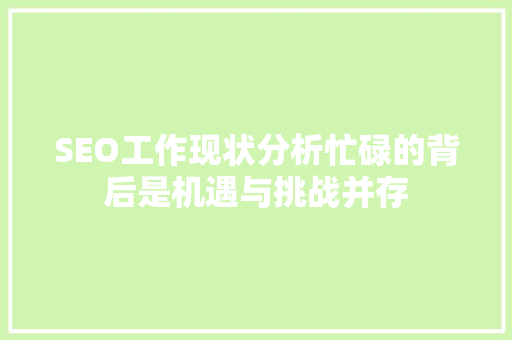 SEO工作现状分析忙碌的背后是机遇与挑战并存
