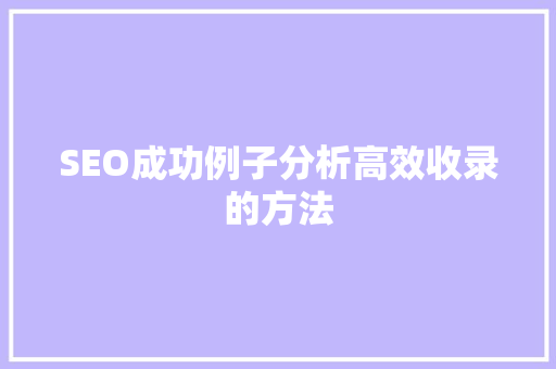 SEO成功例子分析高效收录的方法