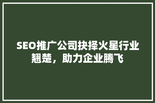 SEO推广公司抉择火星行业翘楚，助力企业腾飞