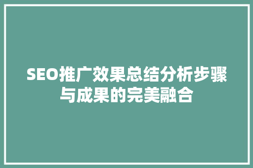 SEO推广效果总结分析步骤与成果的完美融合