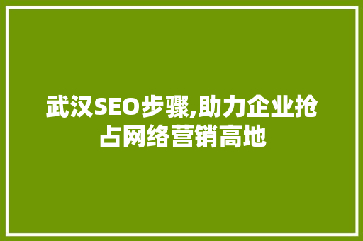 武汉SEO步骤,助力企业抢占网络营销高地