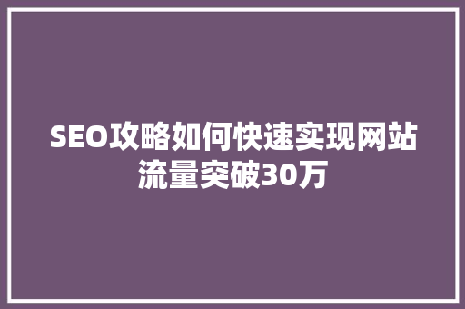 SEO攻略如何快速实现网站流量突破30万