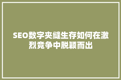SEO数字夹缝生存如何在激烈竞争中脱颖而出