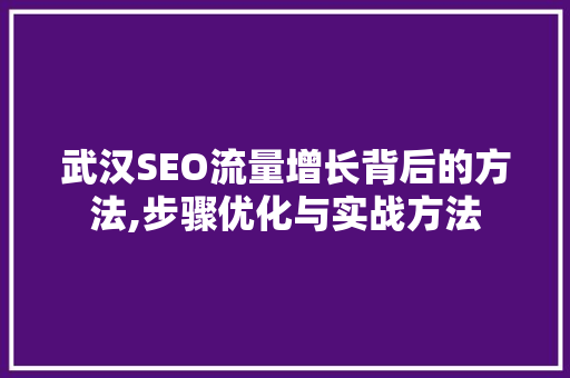 武汉SEO流量增长背后的方法,步骤优化与实战方法