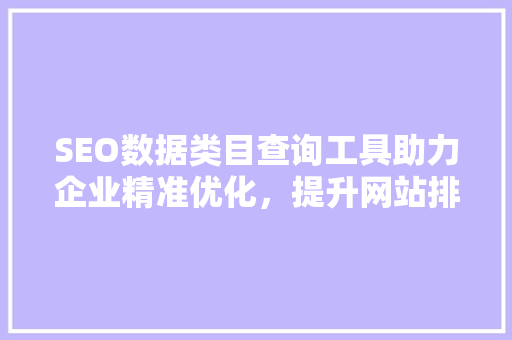 SEO数据类目查询工具助力企业精准优化，提升网站排名