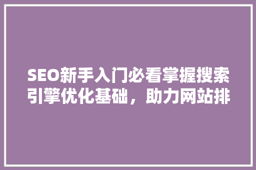 SEO新手入门必看掌握搜索引擎优化基础，助力网站排名提升