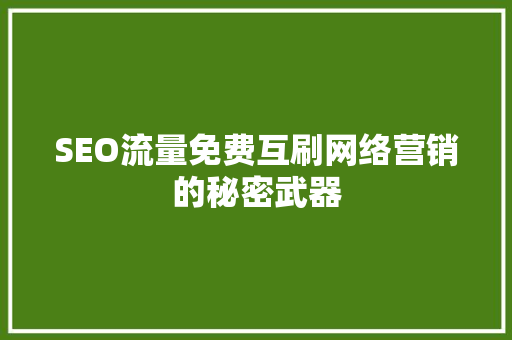 SEO流量免费互刷网络营销的秘密武器 建站教程