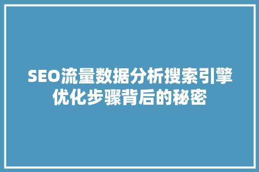 SEO流量数据分析搜索引擎优化步骤背后的秘密