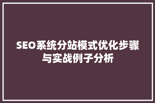 SEO系统分站模式优化步骤与实战例子分析