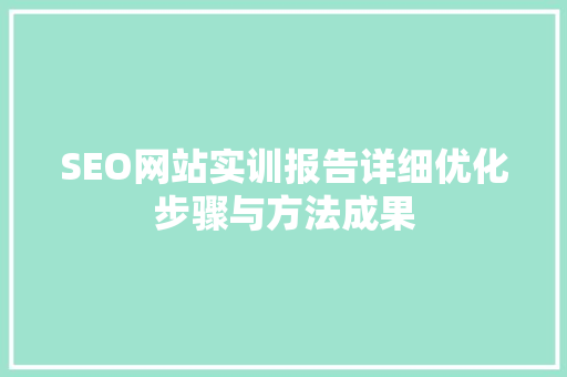 SEO网站实训报告详细优化步骤与方法成果