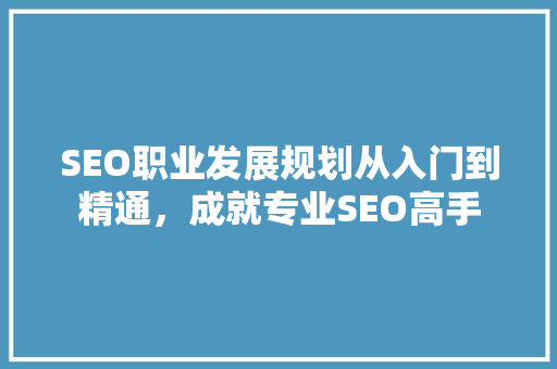 SEO职业发展规划从入门到精通，成就专业SEO高手