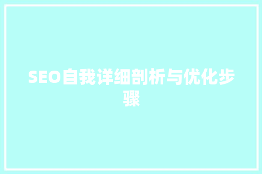 SEO自我详细剖析与优化步骤