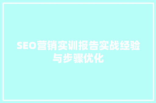 SEO营销实训报告实战经验与步骤优化