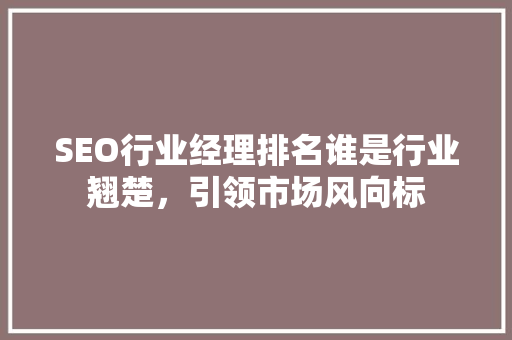 SEO行业经理排名谁是行业翘楚，引领市场风向标 服务器/数据库