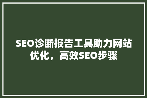 SEO诊断报告工具助力网站优化，高效SEO步骤