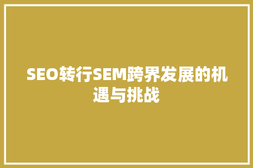 SEO转行SEM跨界发展的机遇与挑战