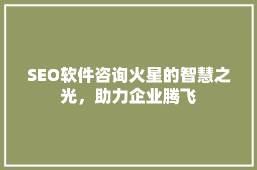 SEO软件咨询火星的智慧之光，助力企业腾飞