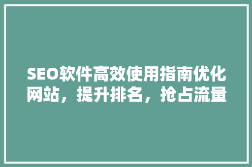 SEO软件高效使用指南优化网站，提升排名，抢占流量先机
