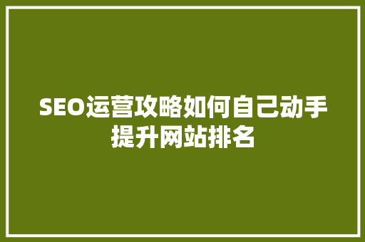 SEO运营攻略如何自己动手提升网站排名