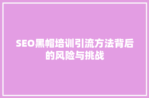 SEO黑帽培训引流方法背后的风险与挑战