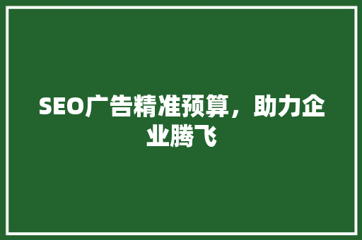 SEO广告精准预算，助力企业腾飞