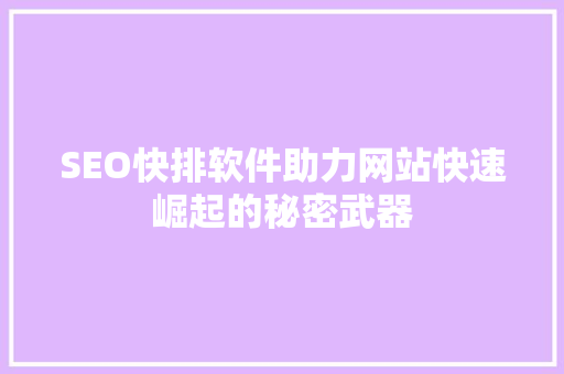 SEO快排软件助力网站快速崛起的秘密武器