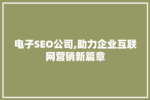电子SEO公司,助力企业互联网营销新篇章