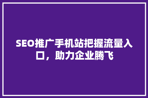 SEO推广手机站把握流量入口，助力企业腾飞