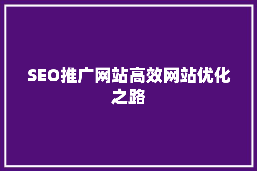 SEO推广网站高效网站优化之路