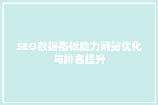 SEO数据指标助力网站优化与排名提升