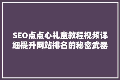 SEO点点心礼盒教程视频详细提升网站排名的秘密武器
