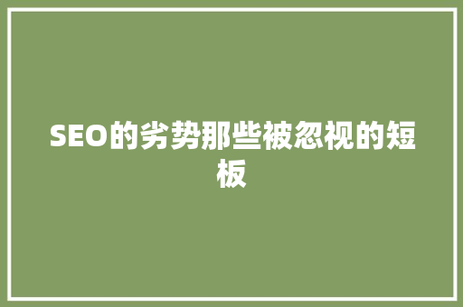 SEO的劣势那些被忽视的短板