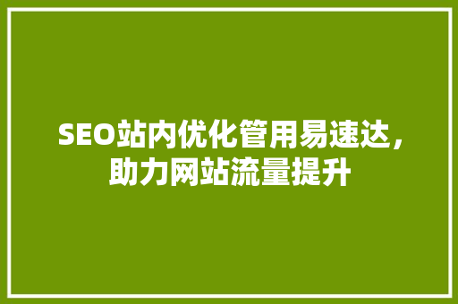 SEO站内优化管用易速达，助力网站流量提升